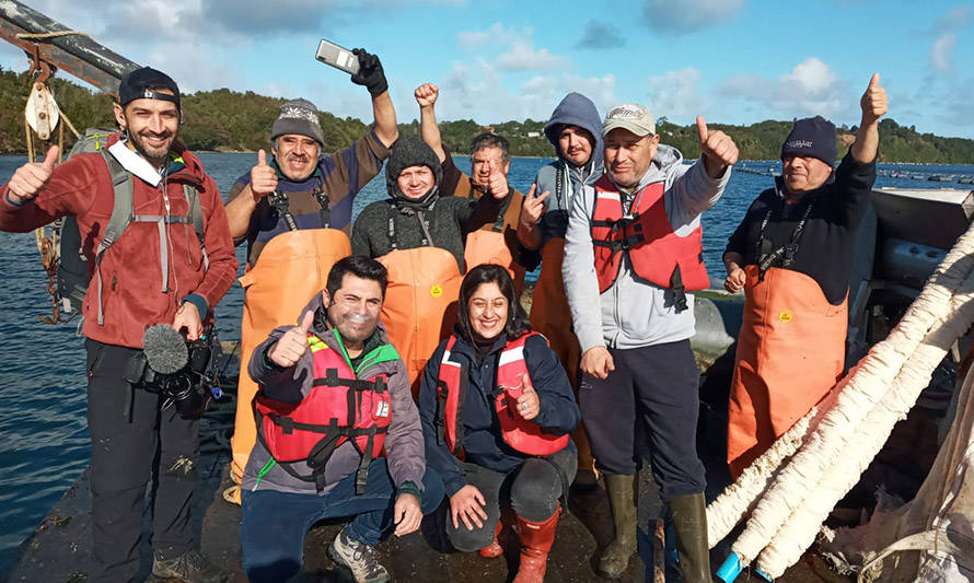 Programa “Chile Conectado” mostrará labor de productores de choritos de Calbuco 