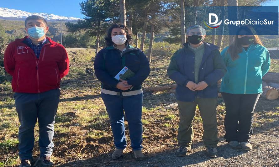 Programa de reactivación económica forestal llega a Capitán Prat