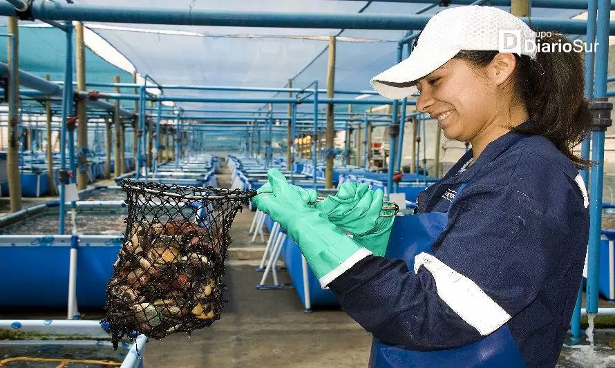 Gobierno lanza programa para apoyar a Mipes acuícolas 