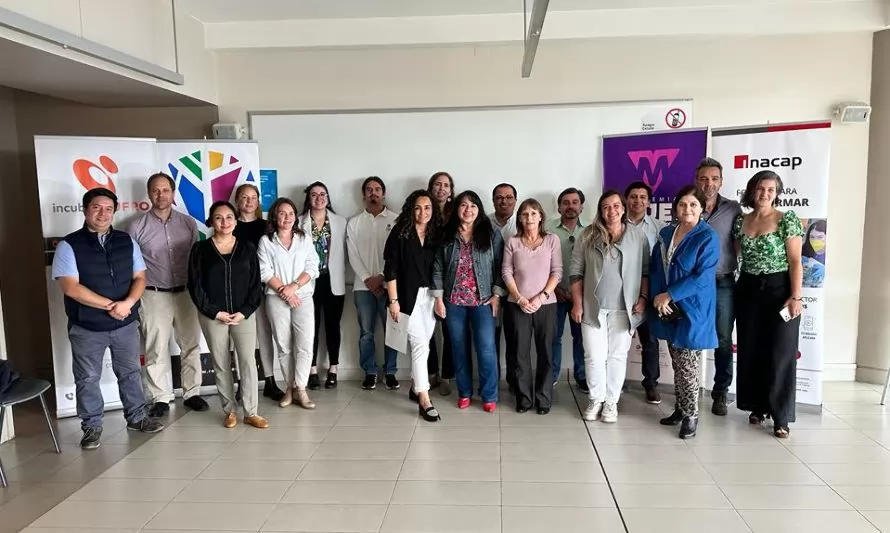 Lanzan programa de fortalecimiento para emprendedoras de la provincia de Osorno