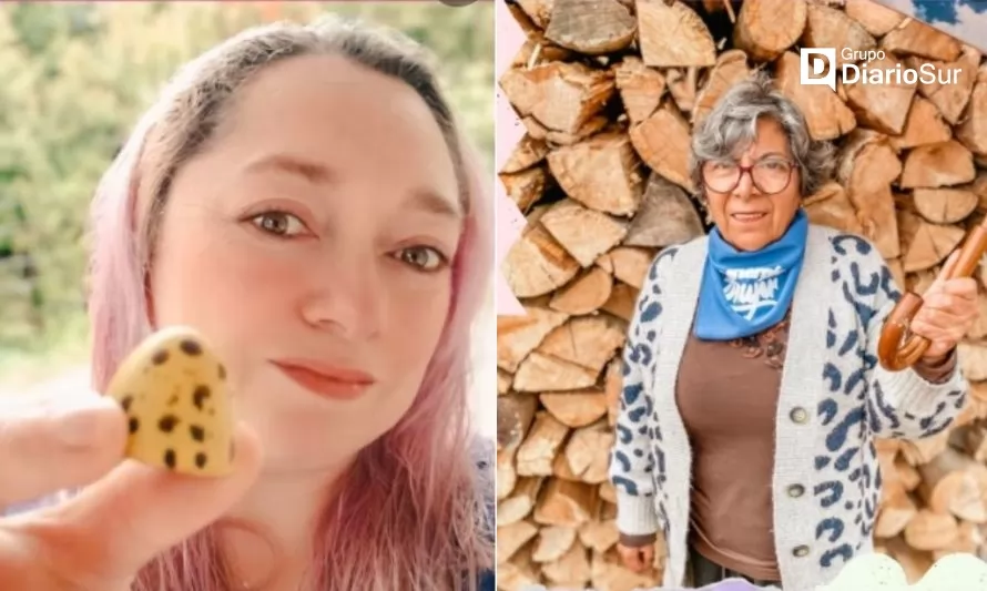 Día de la mujer: destacan a emprendedoras de Los Ríos líderes en energía