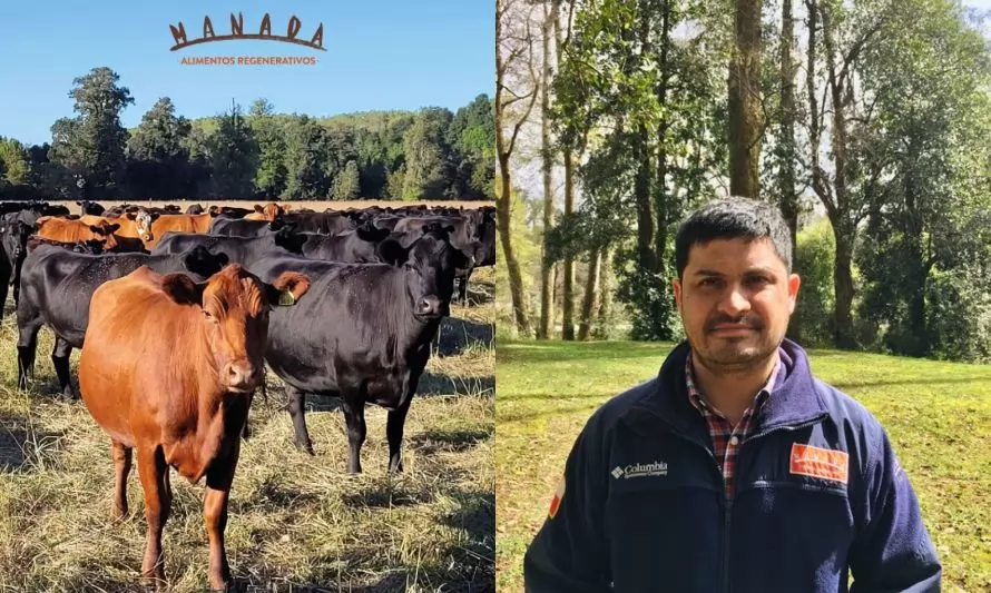 Conoce a Manada Chile la productora de carne valdiviana que apuesta por lo natural y lo sostenible 