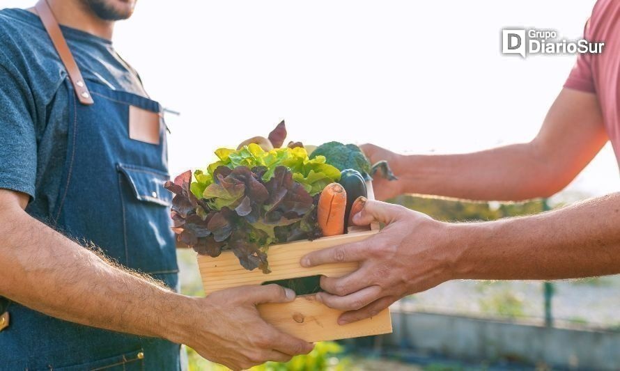 Invitan a organizaciones productoras de Coyhaique y Aysén a programa Emprendamos Grupal