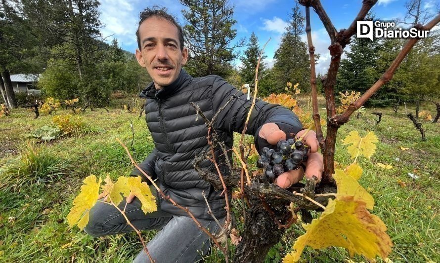 El Temazcal: sanación, viticultura y agroecoturismo en equilibrio con la naturaleza en Lago Puelo