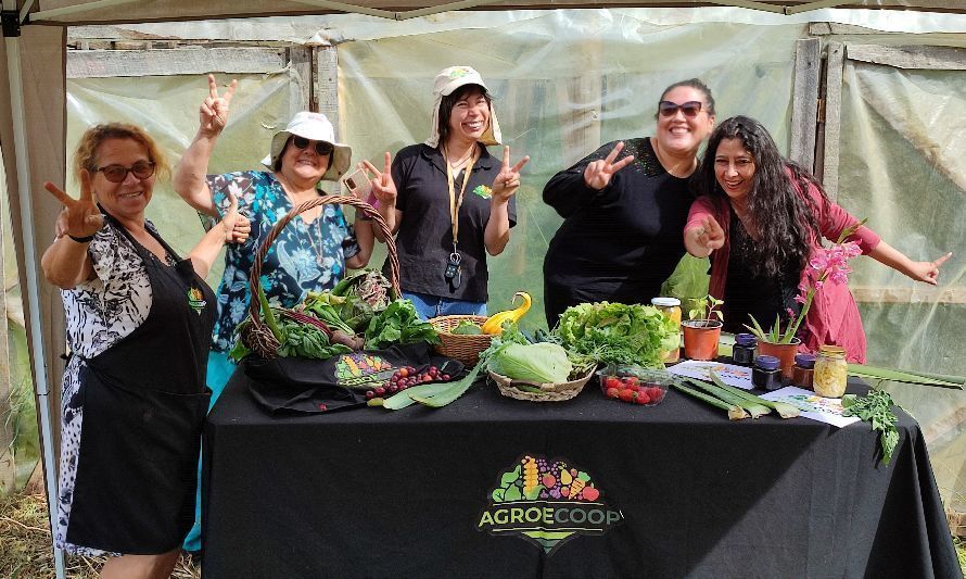 Emprendedores y microempresas de Los Lagos potencian su asociatividad con las cooperativas 