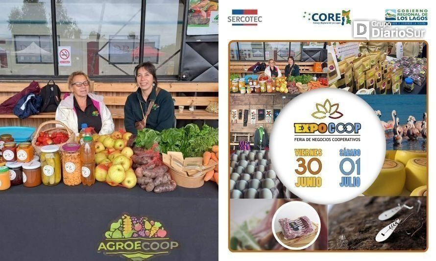 ExpoCoop 2023: Puerto Varas será sede del encuentro de cooperativas de Los Lagos