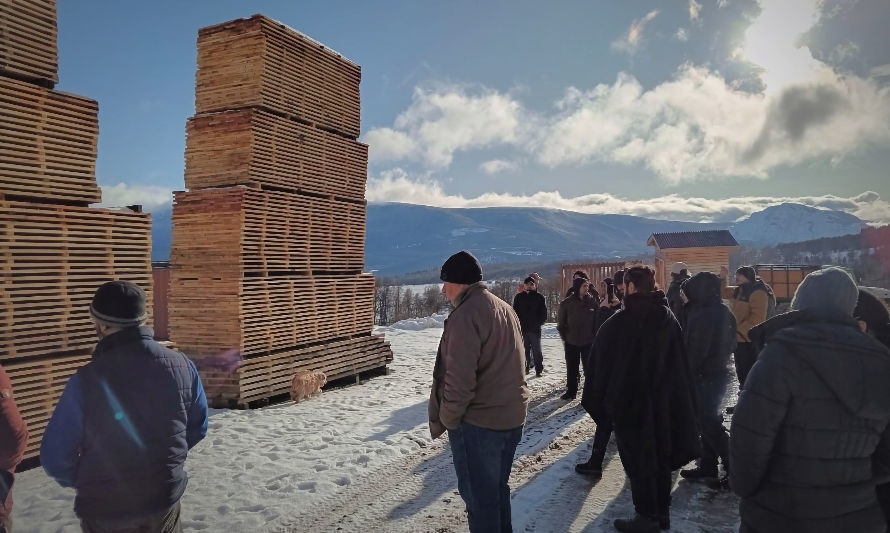 Más de 30 pymes de Aysén participaron en capacitación sobre secado de madera