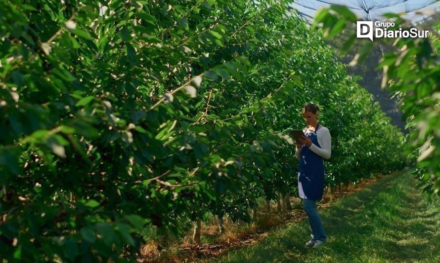 Amplían plazo para que pymes postulen a “Despega Tu Emprendimiento”