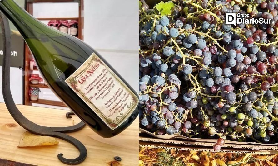 Manos de El Bolsón: productos gourmet y vinos directos de la Patagonia