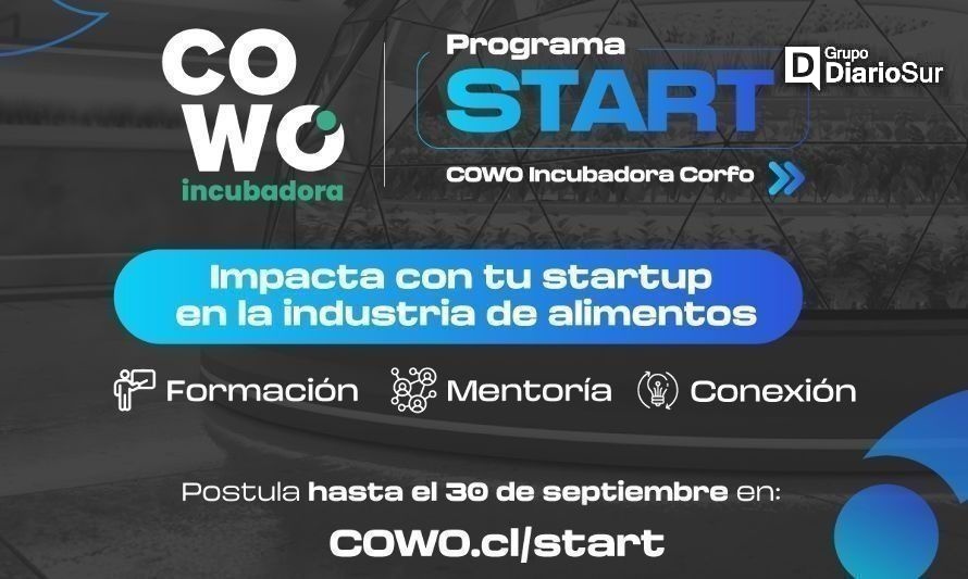 Lanzan programa gratuito de incubación para startups sureñas