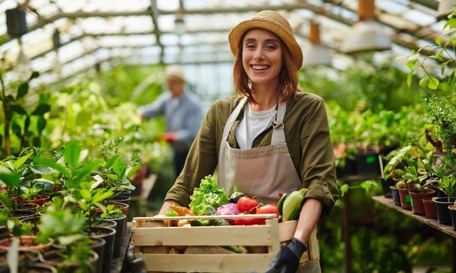 Innovagro Osorno 2023: apoyará iniciativas de emprendimiento e innovación para la agricultura 