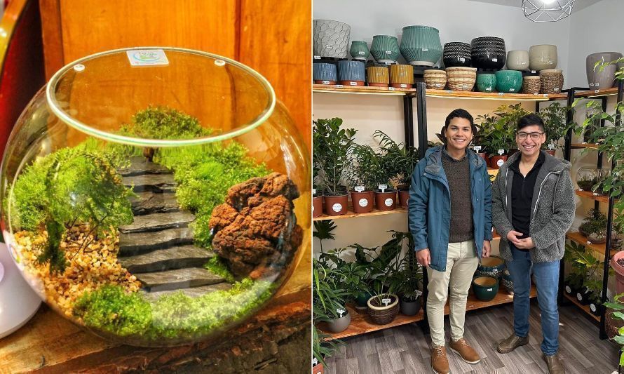 Terra Noble, la innovadora tienda que necesitaban los amantes de plantas en Osorno
