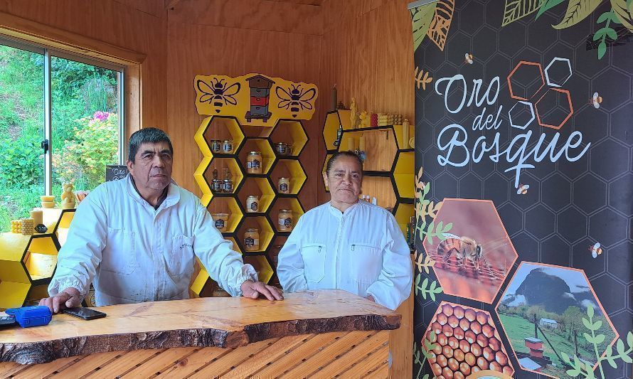 Oro del Bosque: más de 30 años produciendo miel de flores nativas de la cordillera en Llifén 