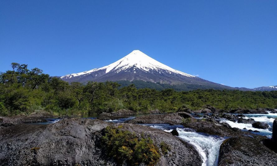 Constituyen primera mesa ejecutiva para la productividad en Los Lagos