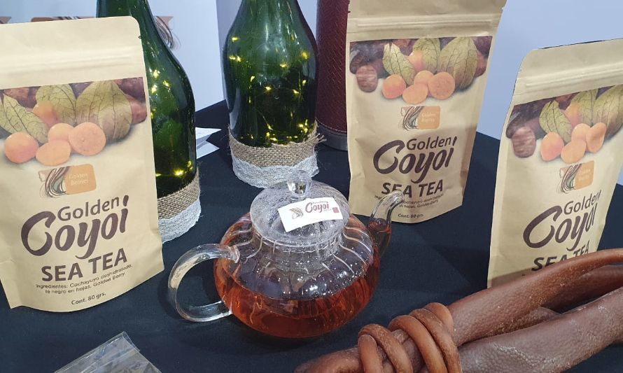 Pyme valdiviana lanza al mercado singular té de cochayuyo "Coyoi"