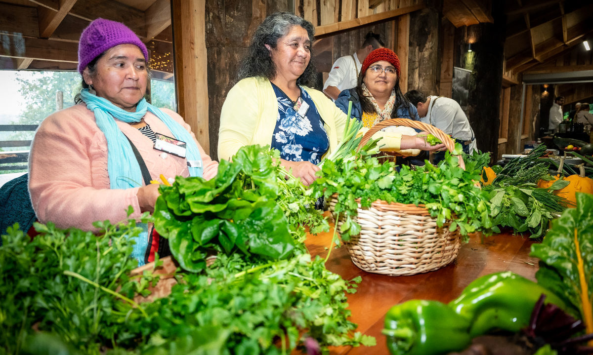 Nueva versión de Feria Campesina reúne a más de 30 emprendedores en Panguipulli 