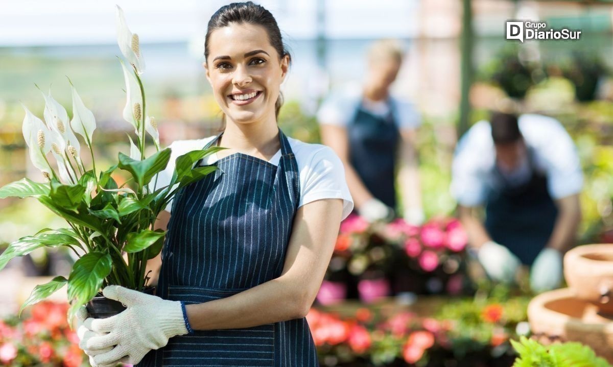 Programa busca potenciar la sostenibilidad en el ecosistema emprendedor 