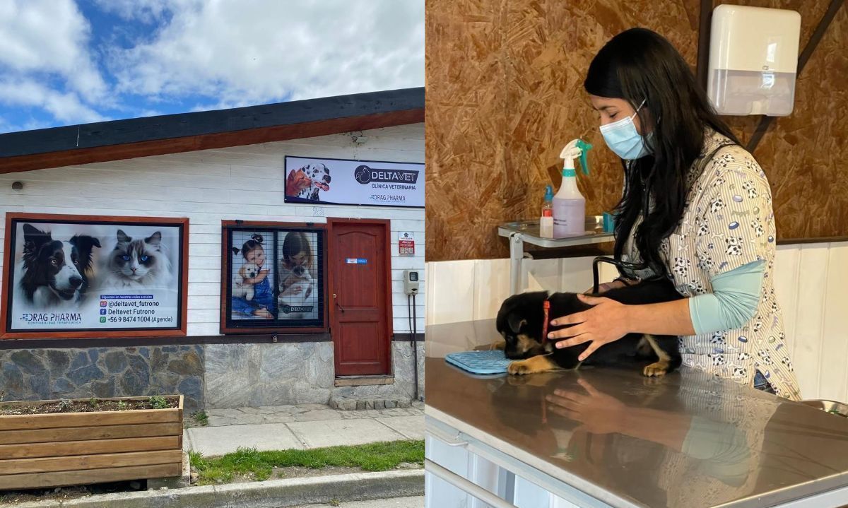Deltavet, la veterinaria que llegó a Futrono para entregar la mejor atención para mascotas