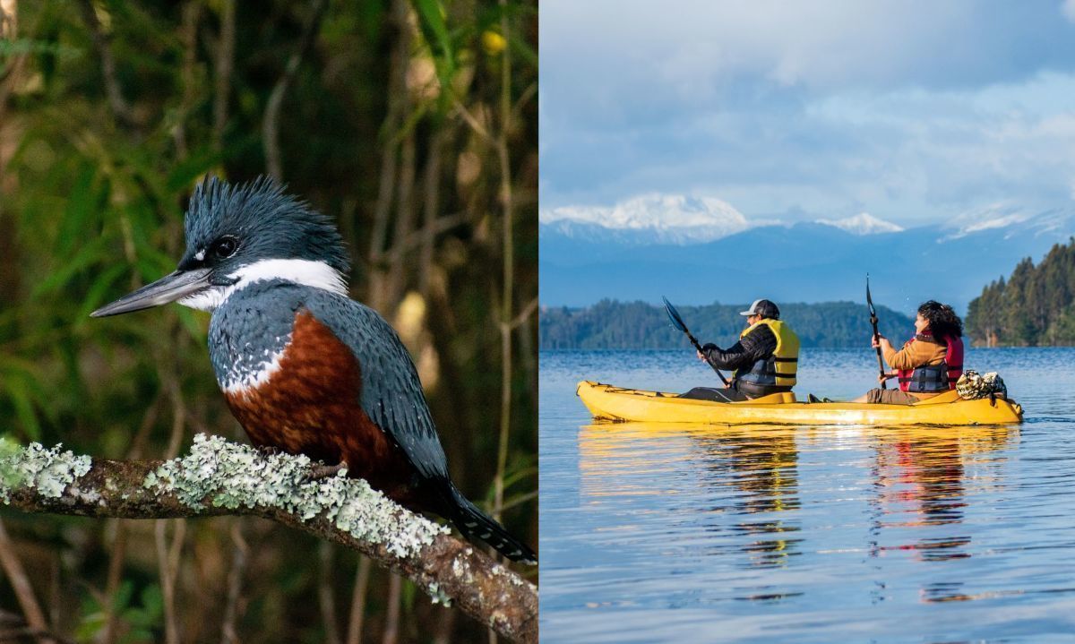 Traiwe Expediciones, compartiendo la belleza natural de la Región de Los Lagos 