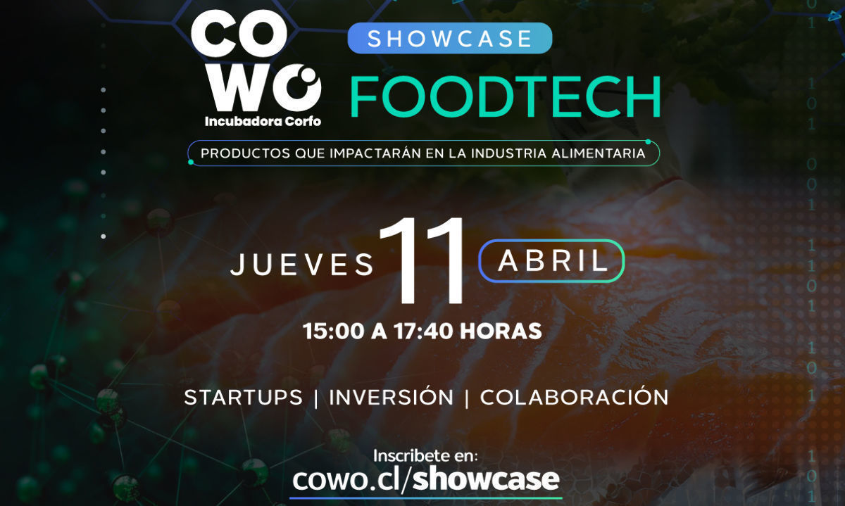 Primer showcase de Cowo Incubadora Los Lagos contará con la participación de 10 startups 