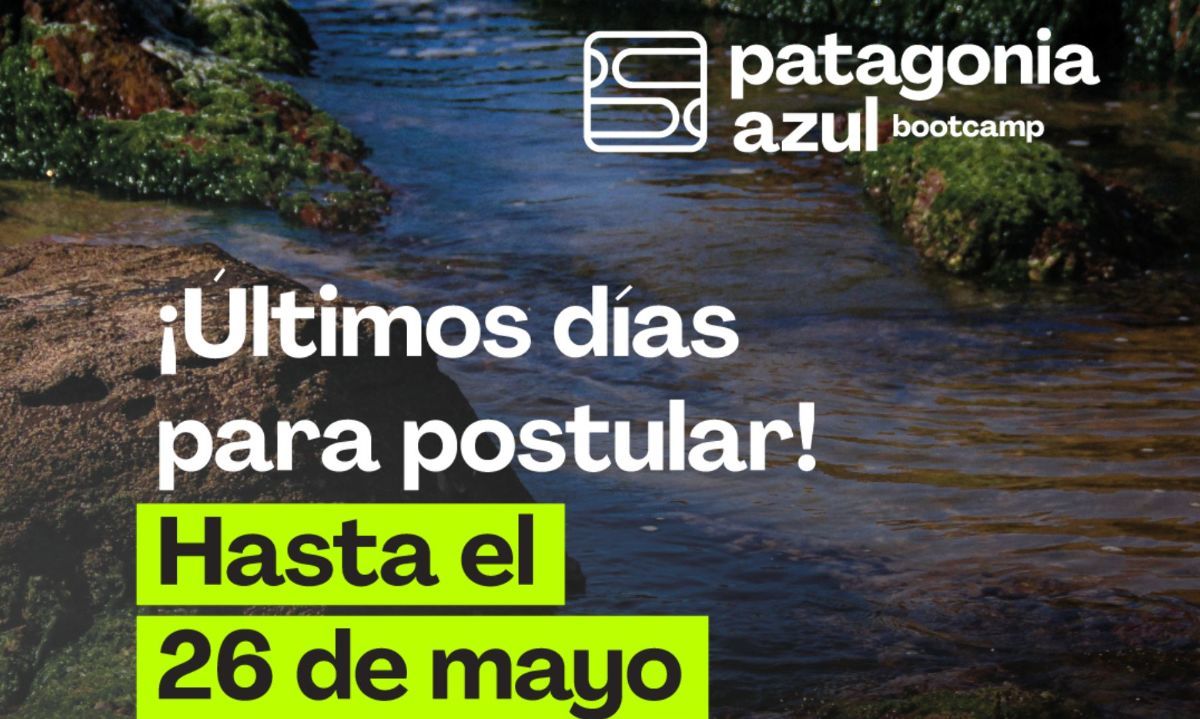 Aún se puede postular a Bootcamp Patagonia Azul. Crédito: Cedida.