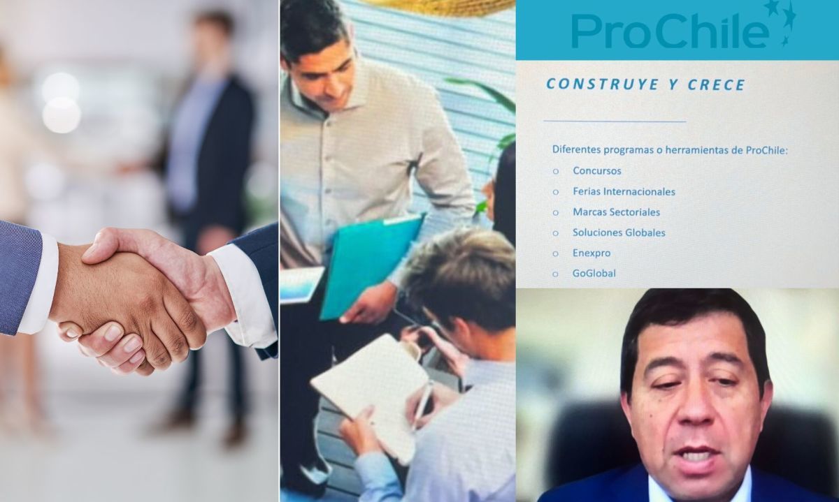 La charla fue realizada por el director regional de ProChile Los Lagos, Ricardo Arriagada. Crédito: ProChile.